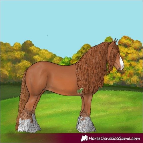 Horse Color:Chestnut 