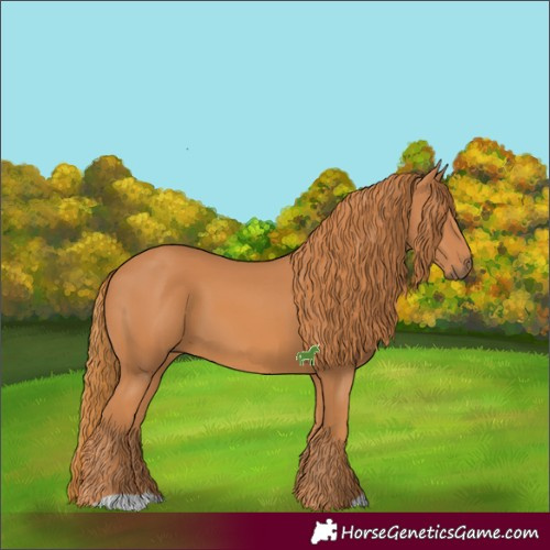 Horse Color:Chestnut 