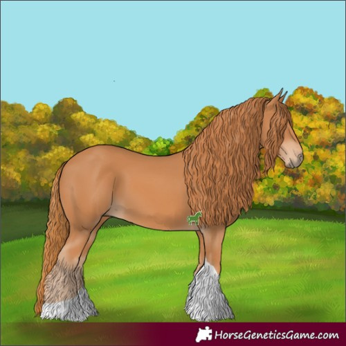 Horse Color:Chestnut Tobiano 