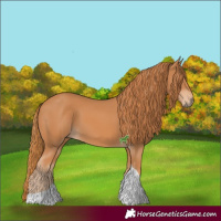 Horse Color:Chestnut Tobiano 