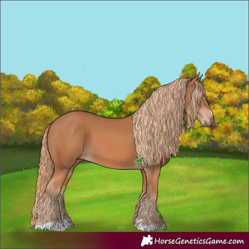 Horse Color:Chestnut 