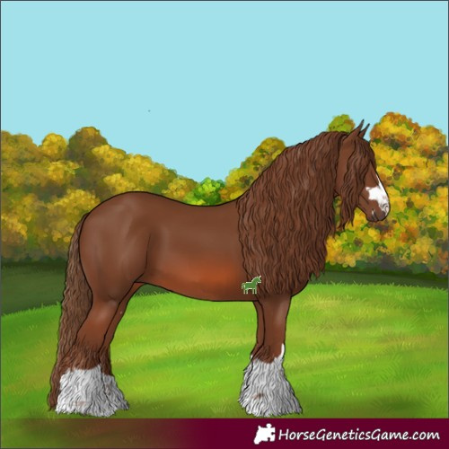 Horse Color:Chestnut 