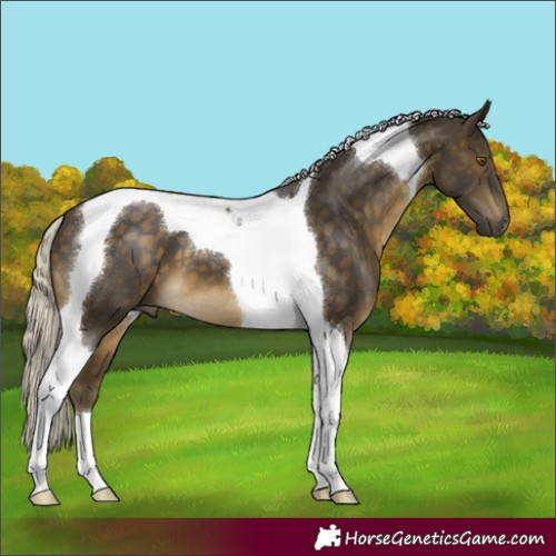 Horse Color:Silver Buckskin Tobiano