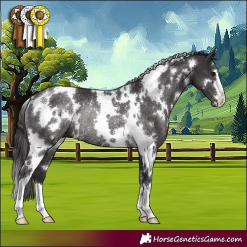 Horse Color:White Spotted Smoky Black Rabicano 