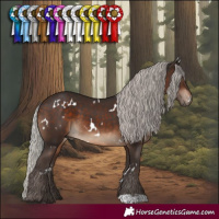 Horse Color:White Spotted Silver Brown