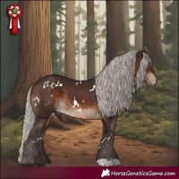 Horse Color:White Spotted Silver Brown