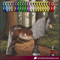 Horse Color:White Spotted Silver Brown