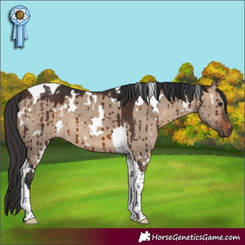 Horse Color:White Spotted Brown Dun Tobiano Brindle