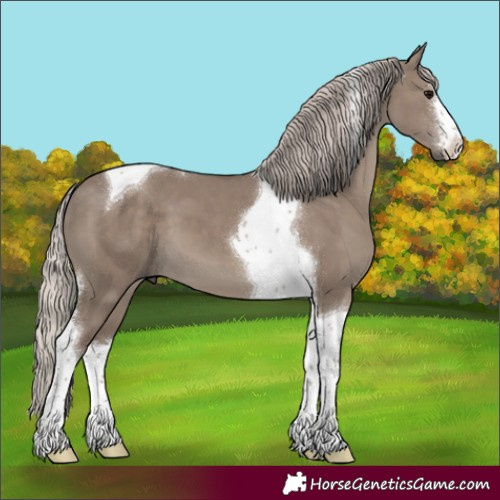 Horse Color:White Spotted Silver Grullo Tobiano