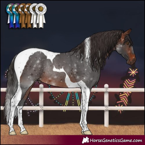 Horse Color:Brown Tobiano Rabicano 