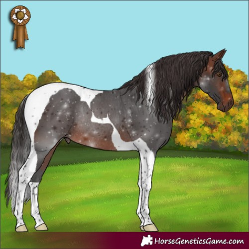 Horse Color:Brown Tobiano Rabicano 
