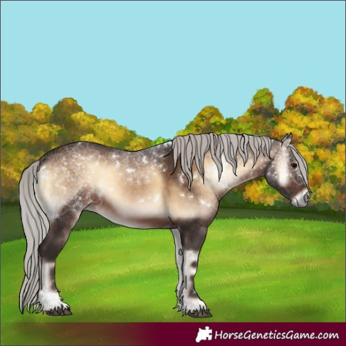 Horse Color:White Spotted Silver Brown Onyx 