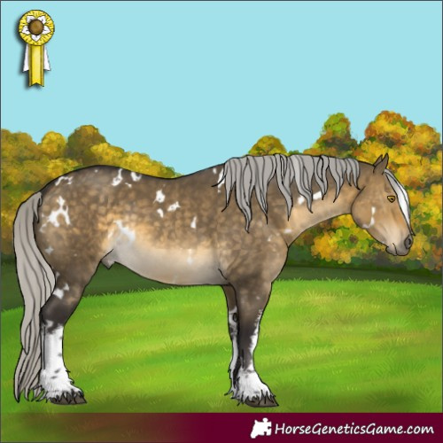 Horse Color:White Spotted Silver Buckskin Dun Rabicano