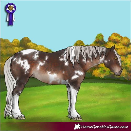 Horse Color:White Spotted Silver Brown Tobiano Rabicano 