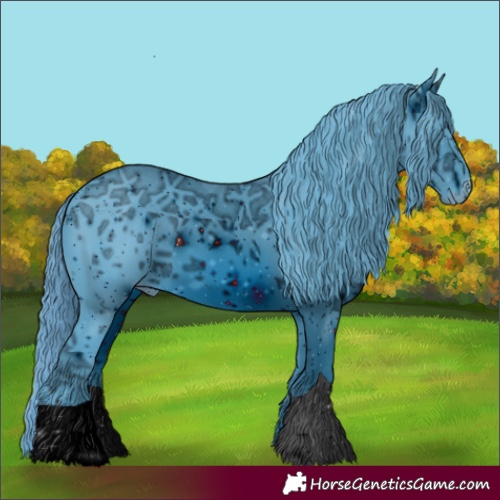 Horse Color:ERROR: UNKNOWN ANOMALY
