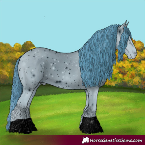 Horse Color:ERROR: UNKNOWN ANOMALY