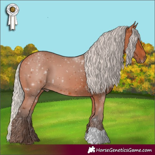 Horse Color:Silver Bay 