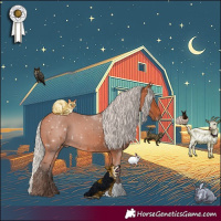 Horse Color:Silver Bay 