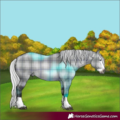 Horse Color:Gray Plaid  Silver Bay Chinchilla Dun Splash 