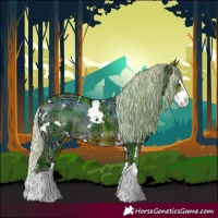 Horse Color:Watercolor Plaid  White Spotted Silver Brown Chinchilla Ice Splash 