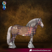 Horse Color:White Spotted Silver Brown Dun Sabino Splash  and Gray Plaid  White Spotted Silver Bay 