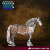 Horse Color:White Spotted Silver Brown Dun Sabino Splash  and Gray Plaid  White Spotted Silver Bay 