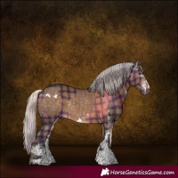 Horse Color:White Spotted Silver Brown Dun Sabino Splash  and Gray Plaid  White Spotted Silver Bay 