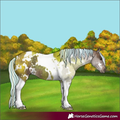 Horse Color:Painted White Spotted Silver Brown Dun Tobiano 