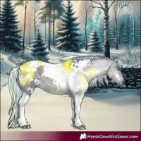 Horse Color:Painted White Spotted Silver Brown Chinchilla Dun Tobiano 