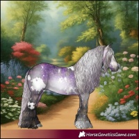 Horse Color:Gray Plaid  White Spotted Silver Brown 