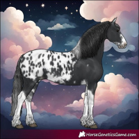 Horse Color:White Spotted Black Splash Tobiano Frame Blanket