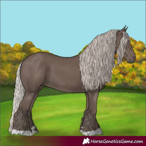 Horse Color:Silver Black 