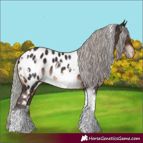 Horse Color:White Spotted Silver Brown Tobiano Near Leopard 