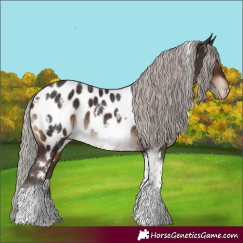 Horse Color:White Spotted Silver Brown Tobiano Appaloosa 