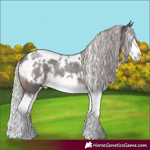 Horse Color:White Spotted Silver Brown Roan Splash 