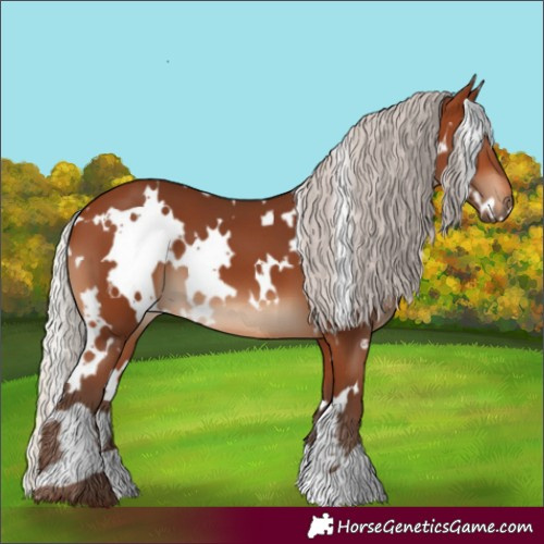 Horse Color:White Spotted Silver Brown 