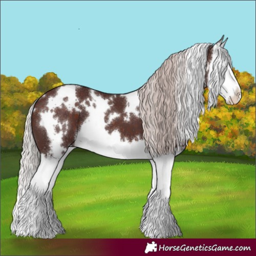 Horse Color:White Spotted Chocolate Silver Brown Splash 