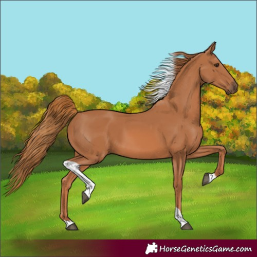 Horse Color:Chestnut Tobiano 