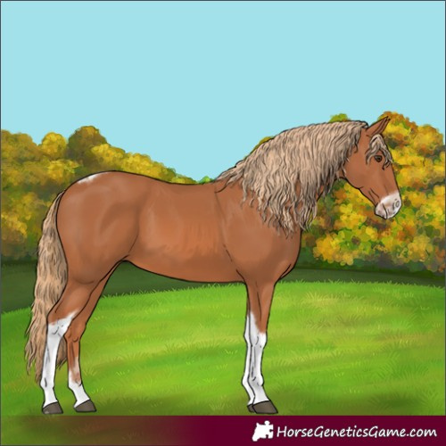 Horse Color:Chestnut Tobiano Frame 