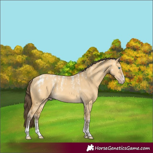 Horse Color:Powder White Amber Cream Champagne Dun 