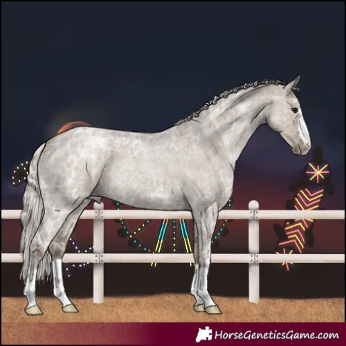 Horse Color:Silver Grullo Ice Roan 