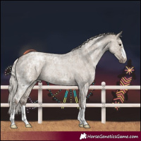 Horse Color:Silver Grullo Ice Roan
