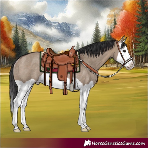 Horse Color:Brown Dun Splash Rabicano 