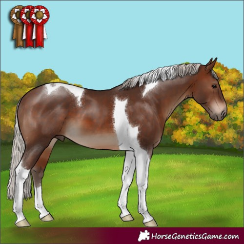Horse Color:Silver Brown Tobiano 