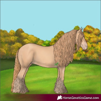 Horse Color:Gold Champagne 
