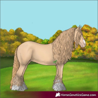 Horse Color:Gold Champagne 