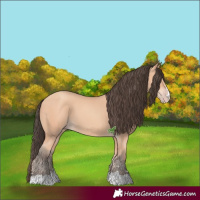 Horse Color:Amber Champagne