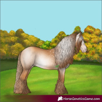 Horse Color:Gray Gold Champagne
