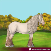 Horse Color:Gold Champagne Dun 