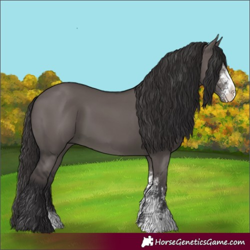 Horse Color:Smoky Grullo Sabino 